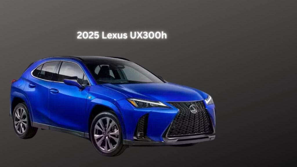 2025 Lexus UX300h